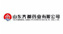 山东齐都药业