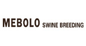 MEBOLO