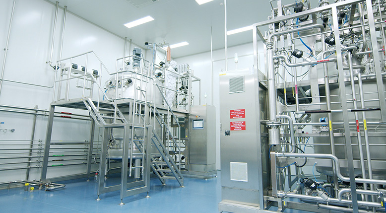 Humanized antibody production