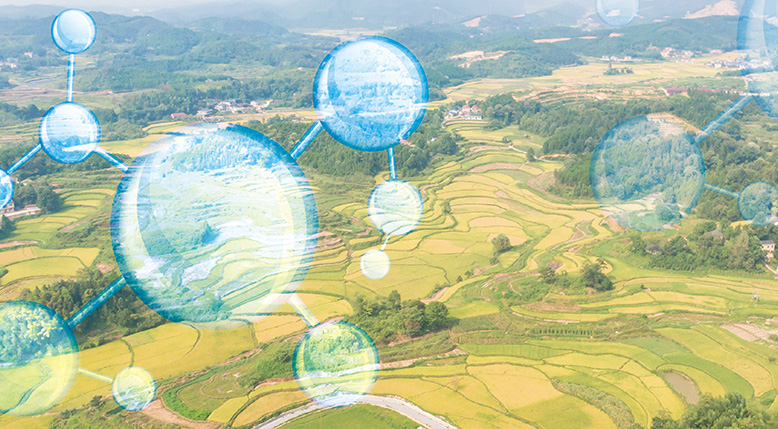 Agriculture andnew energy